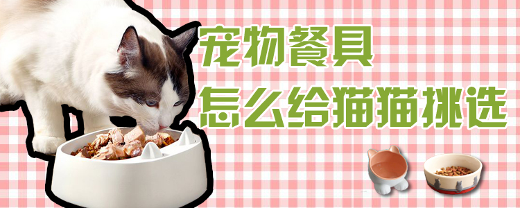 宠物餐具怎么给猫猫挑选
