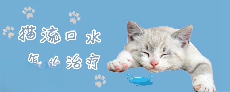 猫流口水怎么治疗
